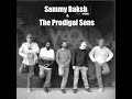 Dont Let Me Be Misunderstood by Sammy Baksh and The Prodigal Sons