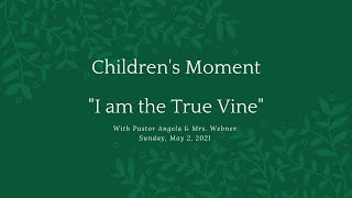 Children's Message - I am the Vine