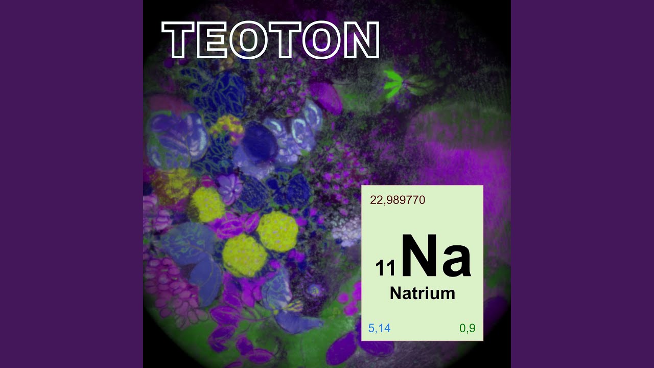 Tonton Natrium di YouTube Tonton Natrium di YouTube