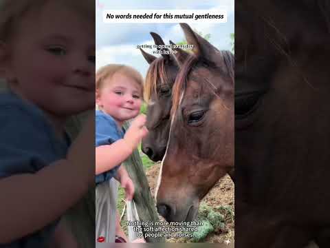 This is unconditional love ❤️ #fyp #horses #horsesonyoutube #love #animal lovers thumbnail