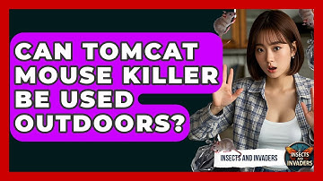 Can Tomcat Mouse Killer Be Used Outdoors? - Insects and Invaders