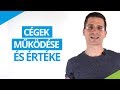 Hogyan működnek a cégek, és mennyit ér egy cég?