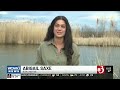 New efforts to conserve Burlington's Barge Canal
