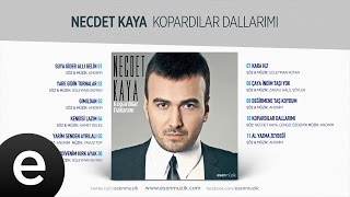 Değirmene Taş Koydum (Necdet Kaya) Official Audio #değirmenetaşkoydum #necdetkaya - Esen Müzik