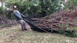 Free backyard storm debris cleanup and tall lawn mowing for elderly man by Josh's lawn service 10,069 views 1 year ago 8 minutes, 41 seconds