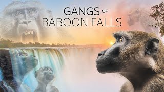 Gang Of Baboon Falls | Trailer