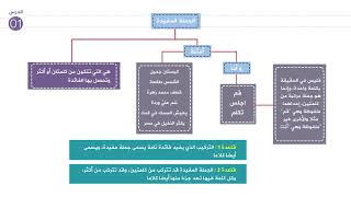 01 - الجملة المفيدة/ شرح كتاب النحو الواضح