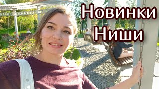 видео: Новинки ниши🔥/экстракты Une Nuit Nomade/Room 1015/ PG /Сорчинелли/Perris Monte Carlo/ Noeme/M Tahite картинка: Новинки ниши🔥/экстракты Une Nuit Nomade/Room 1015/ PG /Сорчинелли/Perris Monte Carlo/ Noeme/M Tahite