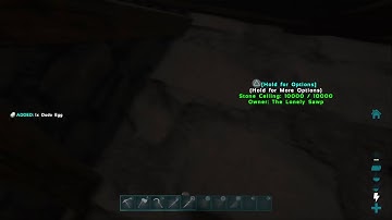 Building Unraidable Raft Stage 1 And 2 // Ark Survival Evolved Ragnarok Small Tribes Solo