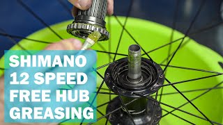 How to grease a CREAKING Shimano 12 speed Micro Spline free hub (SLX, XT, XTR)
