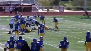 2020 LDFL LB Highlights