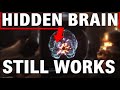 This Hidden Part of Your Brain Still Works While You Sleep