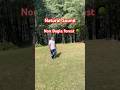 Natural sound Kashmir forest #youtubeshorts #forest