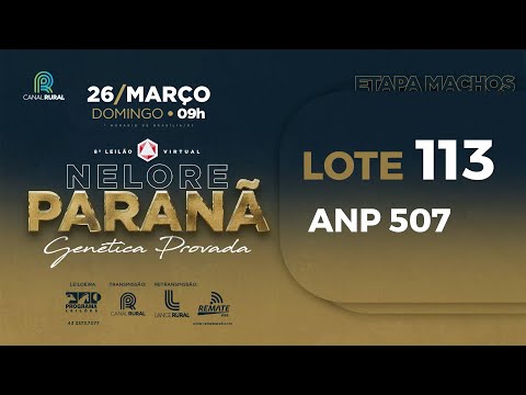 LOTE 113 ANP 507