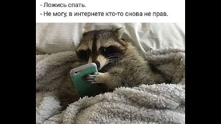 Приколы 2023 новинки, приколы с животными, приколы для настроения, приколы 2023 до слёз