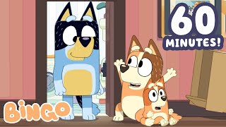 bingo bandit chilli s best moments 60 minutes bingo official