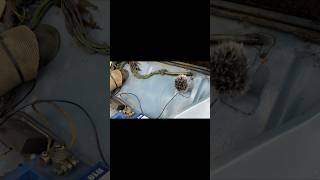 Microphone in 2CV Engine Bay #2cv #citroen2cv #classic #classiccars