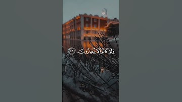 أفأنت تهدي العمي ولو كانوا لا يبصرون القارئ عبدالرحمن مسعد.#اكسبلور #قرآن #لايك #quran