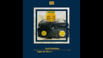 Limit Switches | Cajas de Monitoreo de Limit Switch
