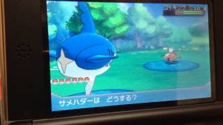 ポケモンオメガルビー ヒンバスゲット前半 Youtube