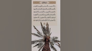 اكتب شيء تؤجر عليه 🤍 القارئ محمد لفيق القوري