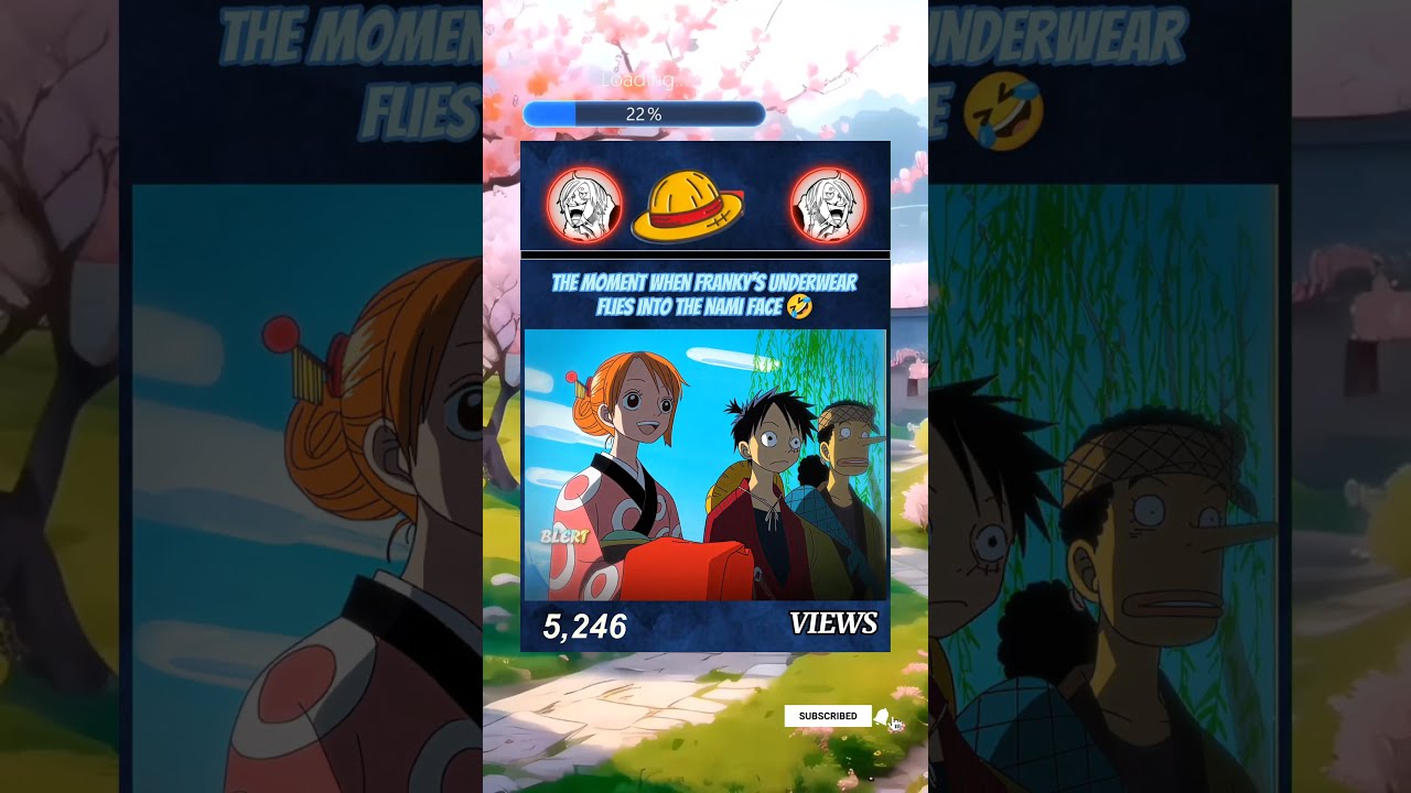 Luffy And Usopp Face Franky Nami Onepiece