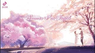 【1 Hour】Because I’m Stupid  | Nhạc Không Lời | Relaxing Music | Relaxing Instrumental