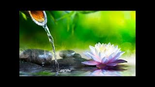 Música de Relajación y Meditación - Música Relajante con Sonidos de Agua- Música Zen - Masajes VOL 6