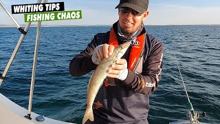 king george whiting fishing tips turns frantic