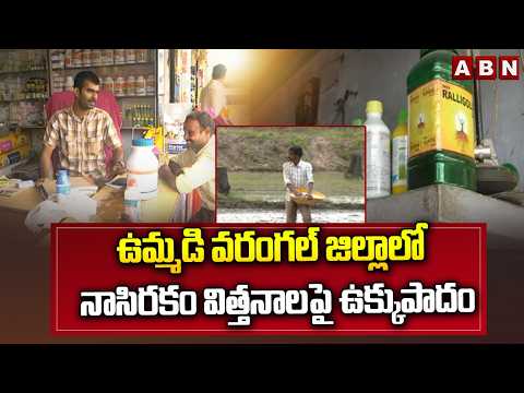 ఉమ్మడి వరంగల్ జిల్లాలో నాసిరకం విత్తనాలపై ఉక్కుపాదం | Fake Cotton Seeds In Warangal | ABN Telugu - ABNTELUGUTV