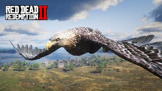 PLAYING EAGLE AND FALCON - Watching nature from the air - Red Dead Redemption 2 screenshot 1