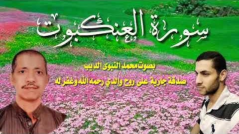 سورة للعنكبوت ابداع ضمن ختمة الأرباع المرتلة ♥️