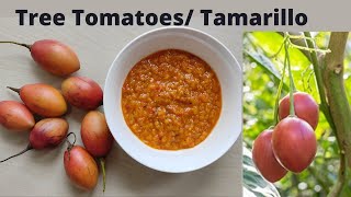 Rukh Tamatar ko Achar | Tree tomatoes| Northeast India