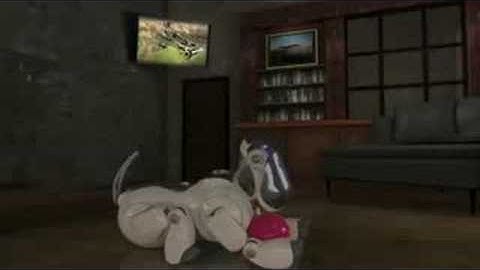 Complexity (Chapter 5 of 6)