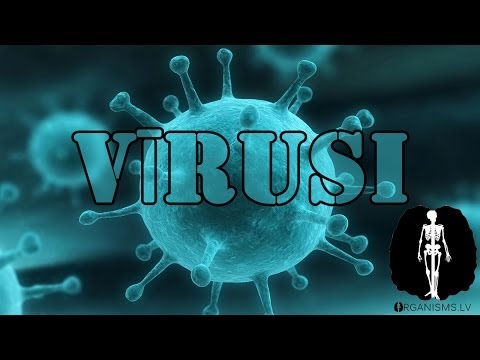 Video: Starpība Starp Vīrusu Un Baktēriju Rozā Aci