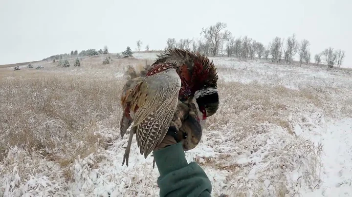 First Snow of the Year!