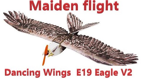 Maiden flight Dancing Wings Hobby DW E19 Eagle V2 1430mm Wingspan EPP DIY RC