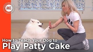 How to Teach Your Dog to Play Patty Cake