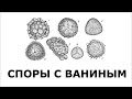 Есть ли у фундаментального анализа будущее?