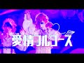 【LIVE映像】愛情フルコース/Zolpidem