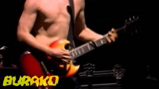 Manu Chao - Live Coachella 2007 - Hamburgers Fields &amp; Merry Blues