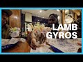 Lamb Gyros for the win at the Greek Lady!