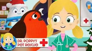 Twinkle The Robin 🐦 | Doctor Poppy - Animals For Kids | Cartoon Animals