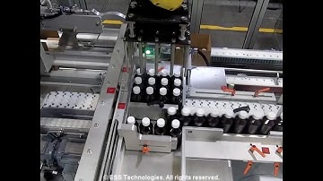 Model V30HS High Speed Robotic Case Packer