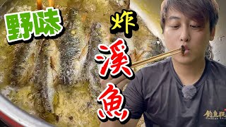 【跟我去釣魚】野味炸溪魚鋼彈小妹都說讚溪邊玩水的平民頂級 ... 