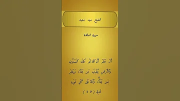 الشيخ سيد سعيد سورة المائدة 