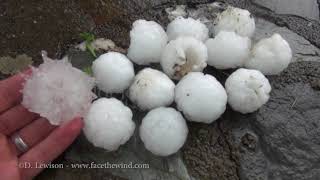 Incredible Hailstorm and Wind Damage in NY/CT