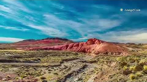 تلاوة هادئة و جميلة من سورة القصص للشيخ مشاري راشد العفاسي من تراويح رمضان 1438