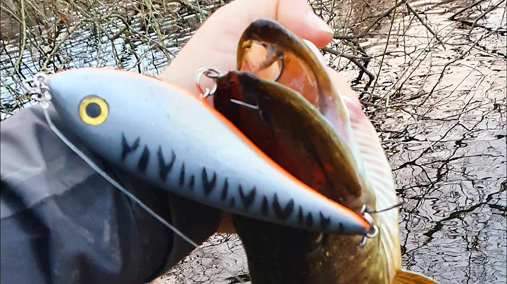 Canal fishing for pike #shorts #jerkbait #handmadelures #pikefishing