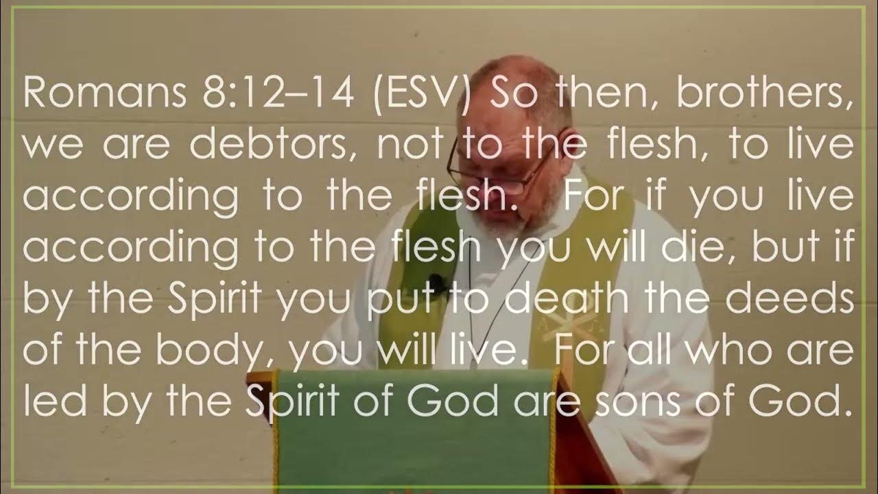 2023-a-pentecost-8-proper-11-romans-8-12-25-matthew-13-24-30-36-43